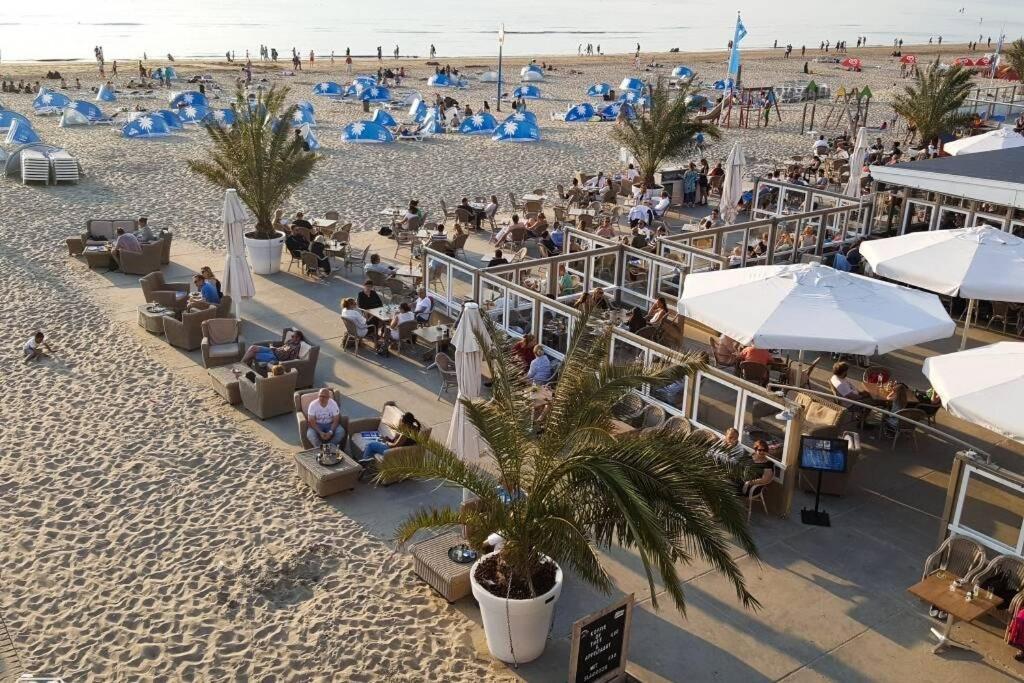 Beachtime Close To The Beach, City Centre Zandvoort Exteriör bild