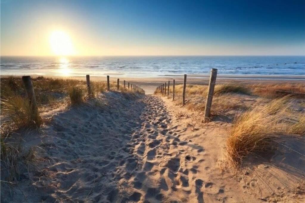Beachtime Close To The Beach, City Centre Zandvoort Exteriör bild